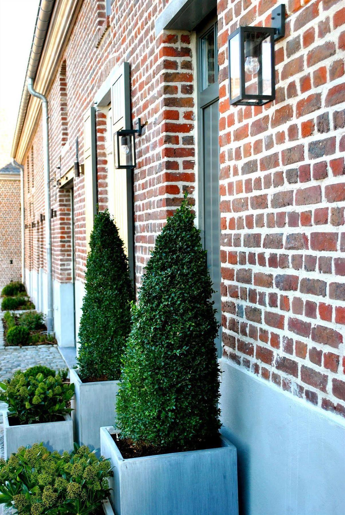 B&B Louis1924 Dilbeek Dış mekan fotoğraf